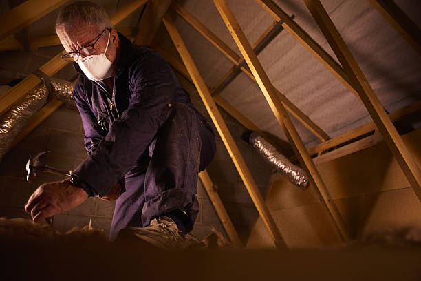 Best Specialized Insulation Services in Waelder, TX